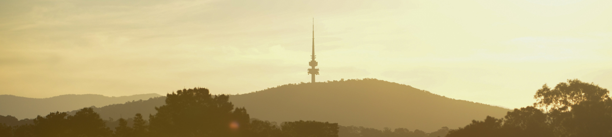 hero-banner